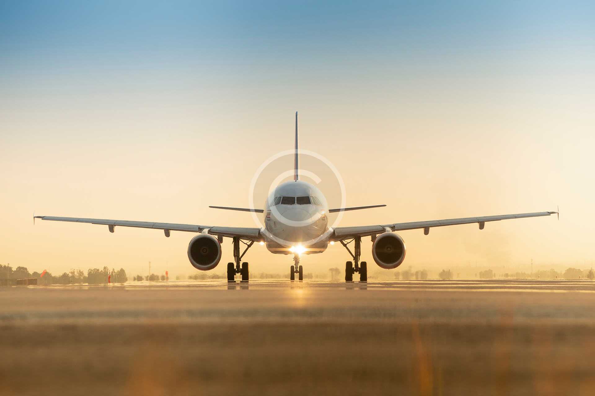 Submit the Online Application